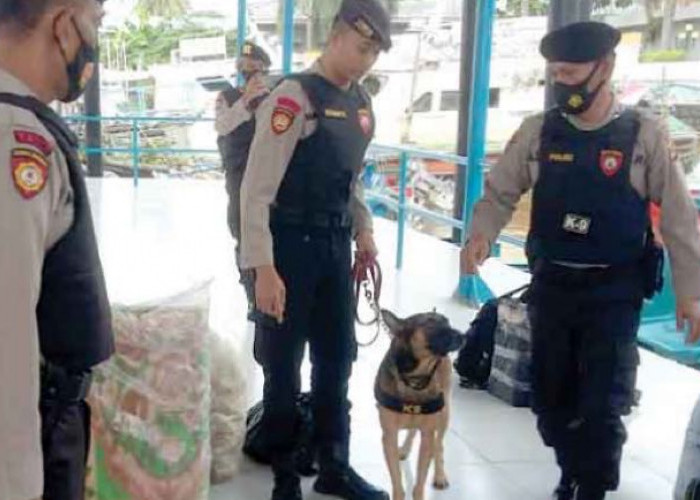 Pengamanan Ketat Jelang Nataru di Palembang, Polisi Kerahkan K9 dan Anjing Pelacak Cegah Potensi Kejahatan