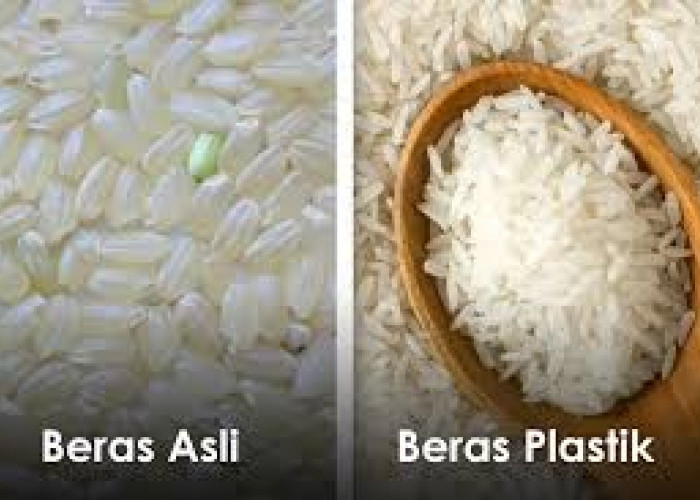 Simak! Begini Cara Membedakan Beras Oplosan agar Tak Tertipu