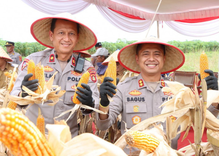 Polres Ogan Ilir  Panen Raya Jagung 24 Ton, Program Ketahanan Pangan 2025