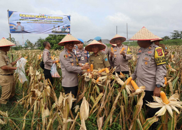 Kapolres Ogan Ilir Hadiri Panen Raya Jagung PKP di Desa Lorok