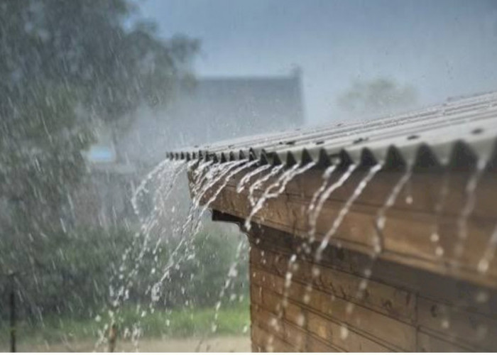 Prakiraan Cuaca Sumsel Hari ini Kamis 11 Desember 2025, Waspada Hujan Lebat dan Petir 