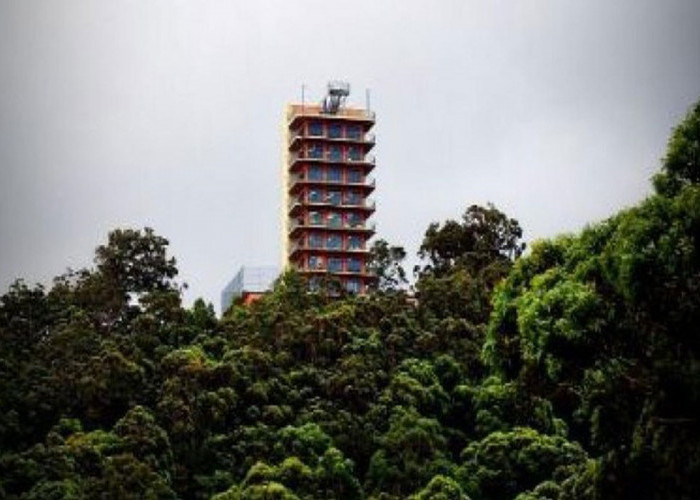 Tower 10 Lantai Berdiri di Tengah Hutan Dikira Apartemen, Ternyata Rumah Petani