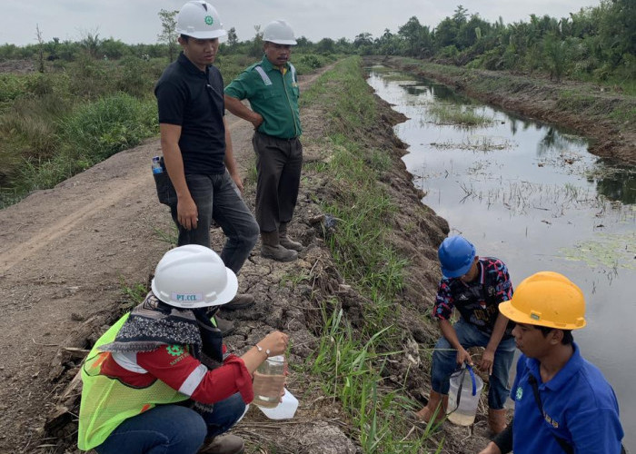 DLH Cek Dugaan Pencemaran Limbah PT CLL, Ini Hasilnya