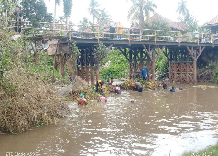Polsek Rantau Alai Ogan Ilir  Bersama Warga Bersihkan Rumput Air Dilokasi Jembatan Roboh Desa Muara Kumbang