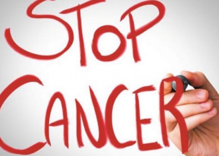 Kanker Serviks Jenis Terbanyak di Dunia, Cegah dengan CERDIK dan Tidak Melakukan Hubungan Multipartner