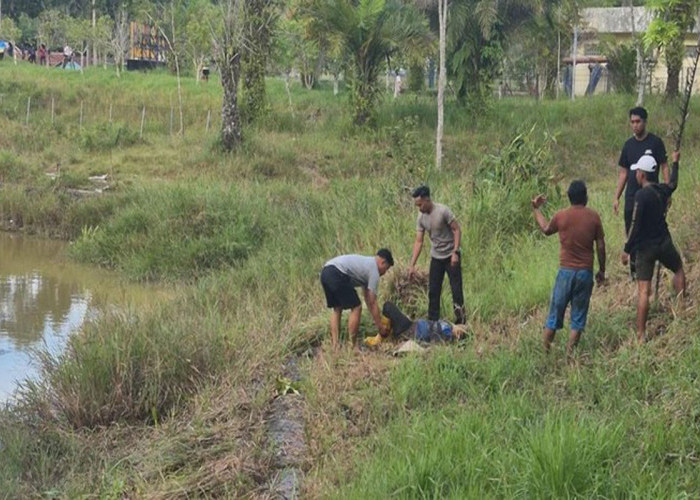 Ibu Paruh Baya di Tarakan Selamat dari Terkaman Buaya