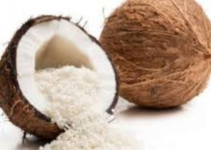 4 Tips Simpan Kelapa Parut Tanpa Kulkas Agar Tetap Awet dan Tahan Lama