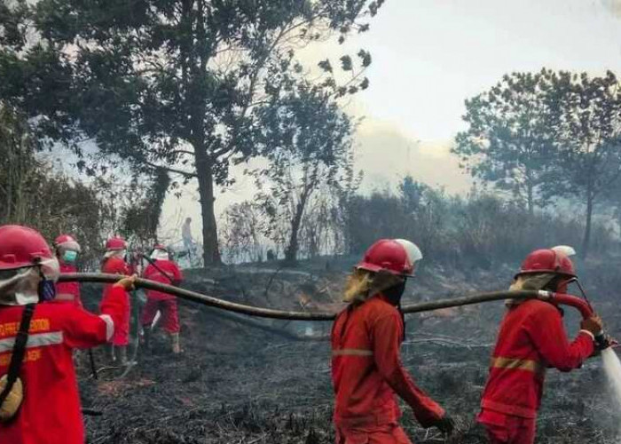 Sukaduka Petugas Pemadam Karhutla, 20 Hari Baru Ketemu Keluarga