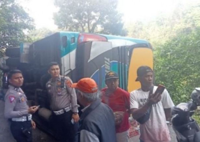 Bus Rombongan Mahasiswa UNRI Terbalik di Kawasan Cubadak Bungkuk Padang Panjang Sumbar, Begini Kondisinya 