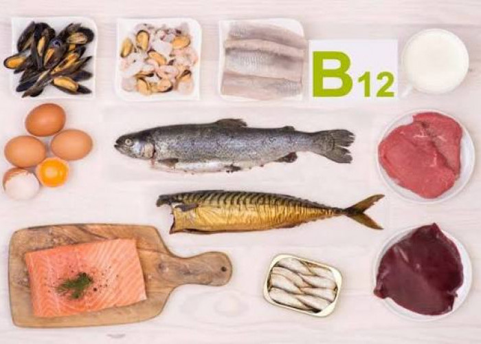 Inilah 8 Jenis Makanan yang Kaya akan Vitamin B12