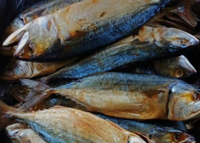 Inilah 7 Manfaat Ikan Asin untuk Kesehatan Tubuh