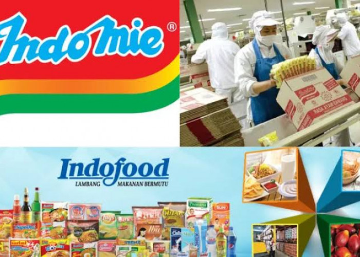 PT Indofood Buka Lowongan Besar-Besaran untuk Fresh Graduate Semua Jurusan, Cek Syaratnya