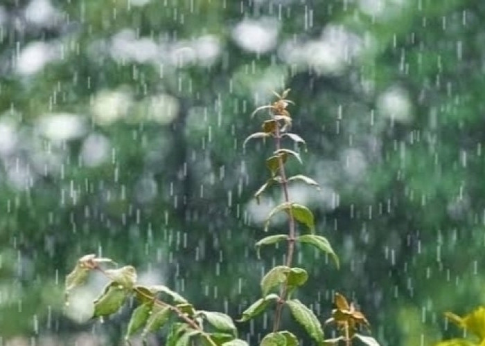 Ogan Ilir dan 9 Wilayah Sumsel Diperkirakan Bakal Hujan Hari ini