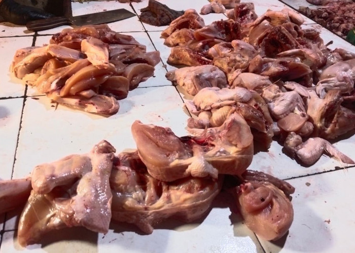 Lebaran Usai, Harga Ayam di Palembang Masih Tinggi, ini Penyebabnya