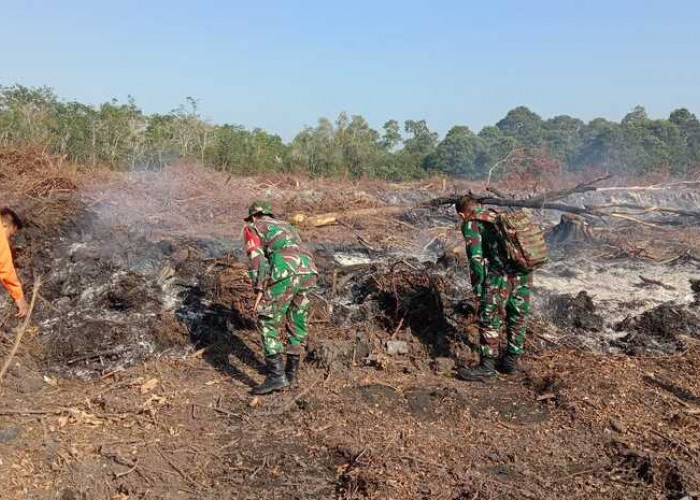 Lahan Seperempat Hektare di Pajar Bulan Ogan Ilir Terbakar