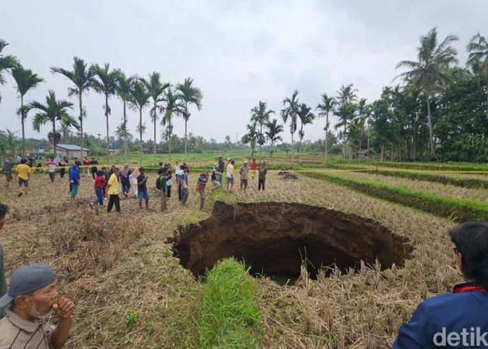 Lubang Raksasa Muncul di Sawah Warga Lima Puluh Kota, ini Penjelasan Geolog