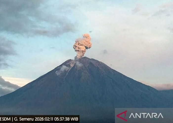 Gunung Semeru Erupsi, Masyarakat Dilarang Aktivitas Radius 5 km