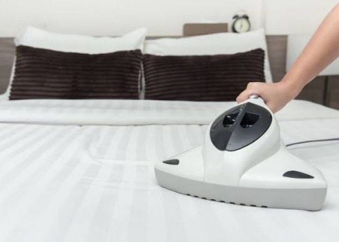 Tips Agar Kamar Tidak Mudah Berdebu, Kunci Hidup Sehat