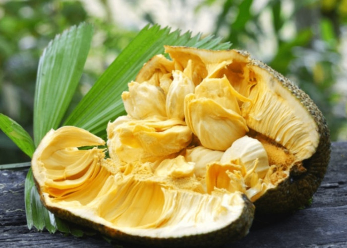 5 Manfaat Cempedak untuk Kesehatan, Mencegah Kanker