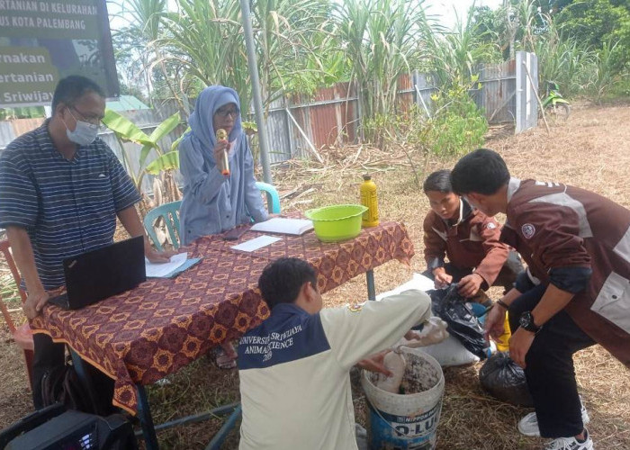 LP2M Unsri Aplikasikan Pupuk Cangkang Telur dan Feses Kambing di Pulokerto Gandus Palembang.
