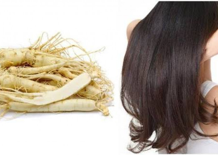 Inilah 7 Manfaat Ekstrak Ginseng Membuat Rambutmu Jadi Lebih Sehat