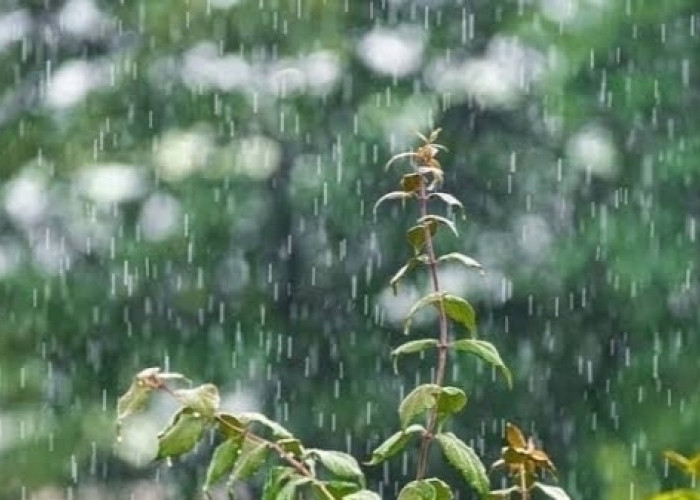 Ogan Ilir dan 12 Wilayah Sumsel Diperkirakan Bakal Hujan Hari ini 