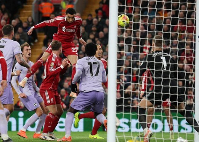 Jamu Brighton, Liverpool Menang 2-0, ini Klasemen Sementara Liga Inggris 2025-2026