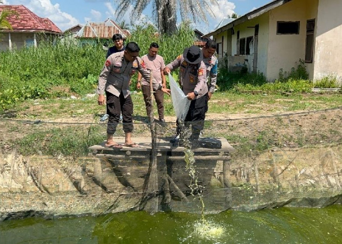 Polsek Pemulutan  Tebar Benih Ikan Patin Thailand 1800 Ekor
