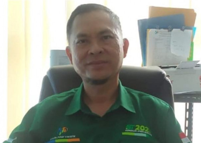 BPS Buka Lowongan 900 Petugas Sensus Pertanian di 18 Kecamatan di Kabupaten OKI