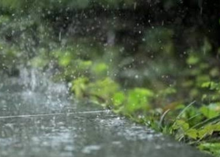 Info BMKG: Hampir Seluruh Wilayah Sumsel Diperkirakan Bakal Hujan Hari ini