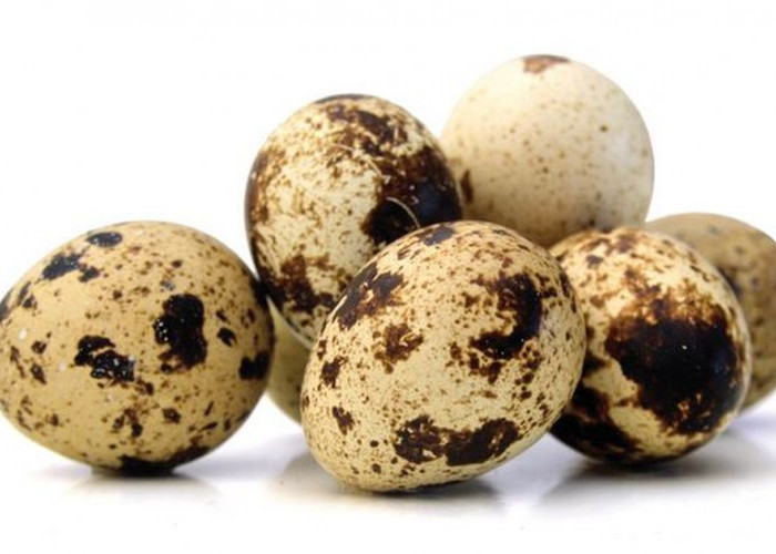 8 Manfaat Telur Puyuh yang Luar Biasa, Salah Satunya Cocok untuk Diet