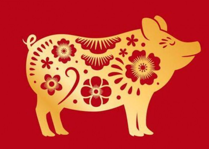 Ketahui Karakteristik Shio Babi, Gemar Makan dan Murah Hati