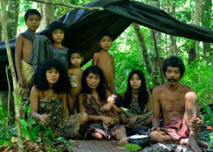 Suku Kubu, Suku Asli Pedalaman Sumatera, Populasi Terbesar di Jambi