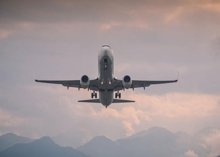 Kecelakaan Pesawat di Kolombia Tewaskan Seluruh Penumpang, Salah Satunya Anggota Parlemen