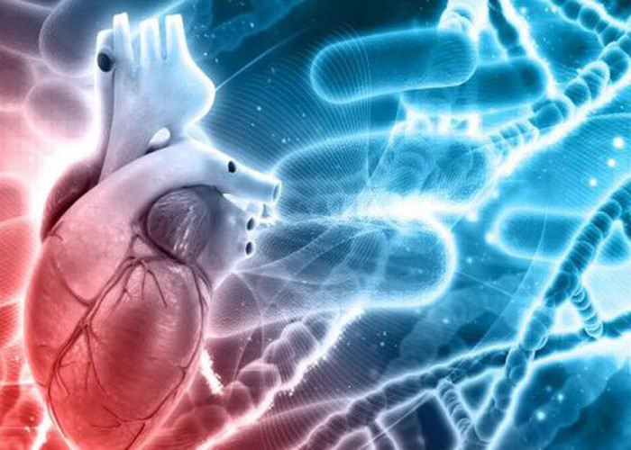 Ini Cara Mencegah Serangan Jantung, Anda Bisa Mencobanya