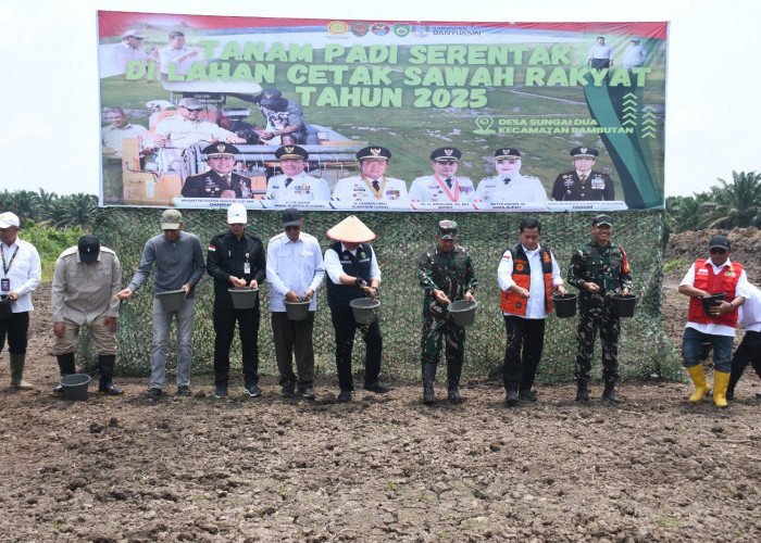 Sinergi TNI dan Pemerintah, Tanam Padi Bersama Gubernur Sumsel di Desa Sungai Dua
