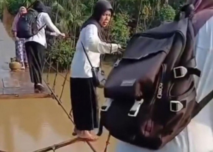 Jembatan Diperbaiki, Guru SDN di Merangin Bertaruh Nyawa Meniti Seutas Tali untuk Mengajar