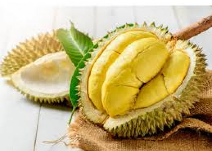 Tak Hanya Lezat, Ini 8 Khasiat Buah Durian bagi Kesehatan Tubuh