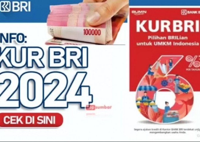 KUR BRI, Jadi 