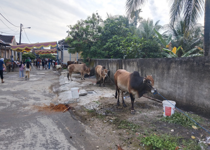 Warga Villa Gardena 4 Kurban 6 Sapi-6 Kambing