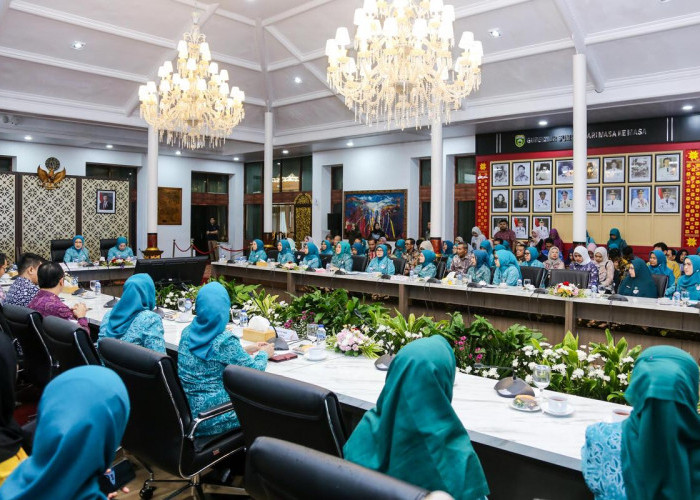 Ketua TP PKK Muba Ikuti Rakor di Provinsi, Samakan Persepsi Laksanakan Program Kerja