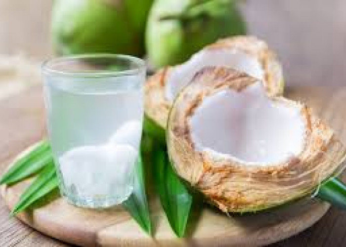 Simak! 5 Waktu Terbaik untuk Minum Air Kelapa, Manfaatnya Gak Main Main