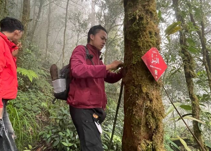 Lakukan Ekspedisi Bukit Daun, Mapala Brimpals FH UMP Pasang Plang Asmaul Husna