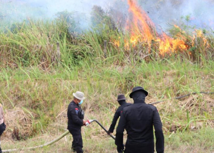 Api Karhutla Masih Terus Berkobar, Wakapolres Ogan Ilir Pimpin Pemadaman.