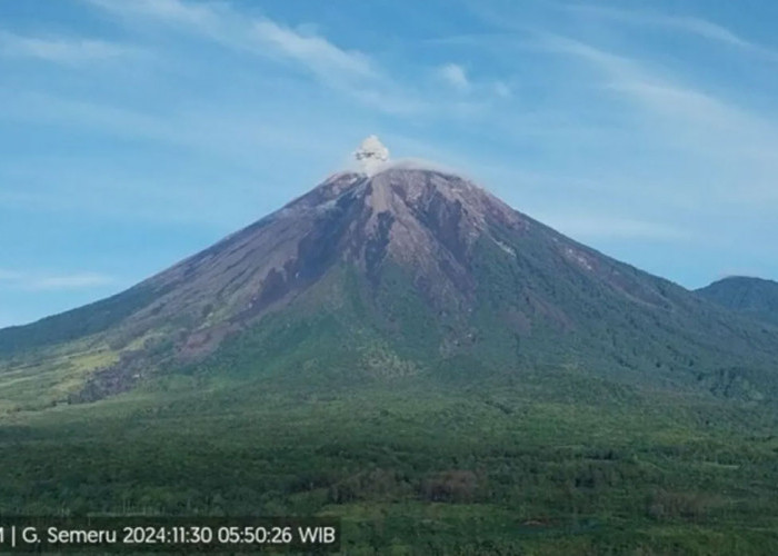 Gunung Semeru Erupsi 3 Kali Hari ini