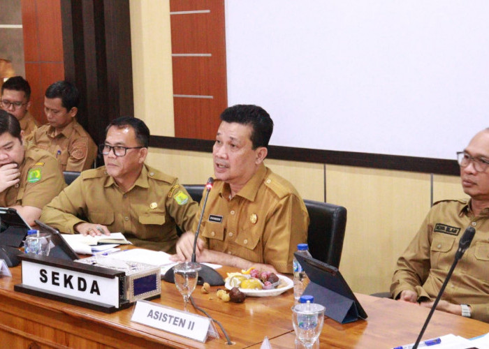 Genjot Pendapatan, Satgas Optimalisasi PAD  Muba Inventaris BUMD-OPD