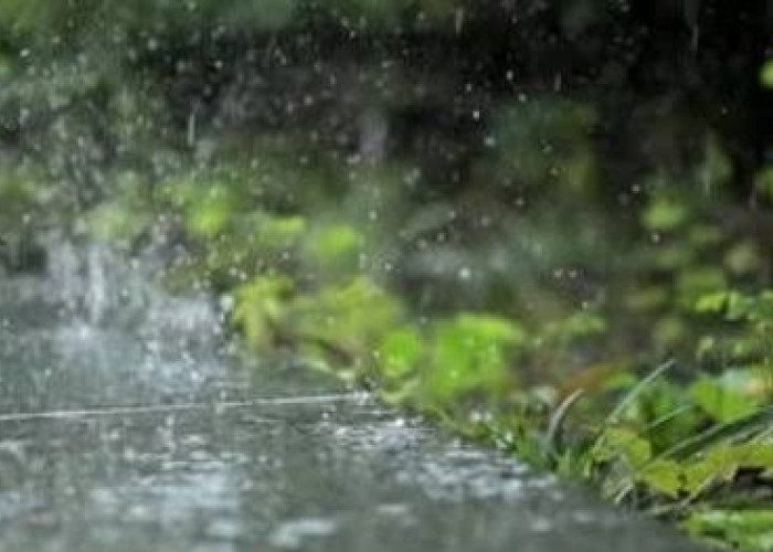 Info BMKG: 9 Wilayah Sumsel Diperkirakan Bakal Hujan Hari ini