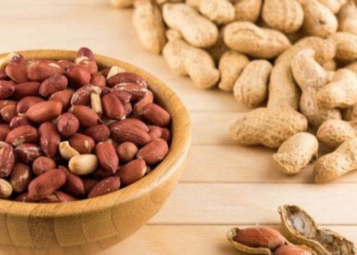 3 Khasiat Konsumsi Kacang Tanah Secara Rutin, Salah Satunya Mampu Turunkan Kolesterol 