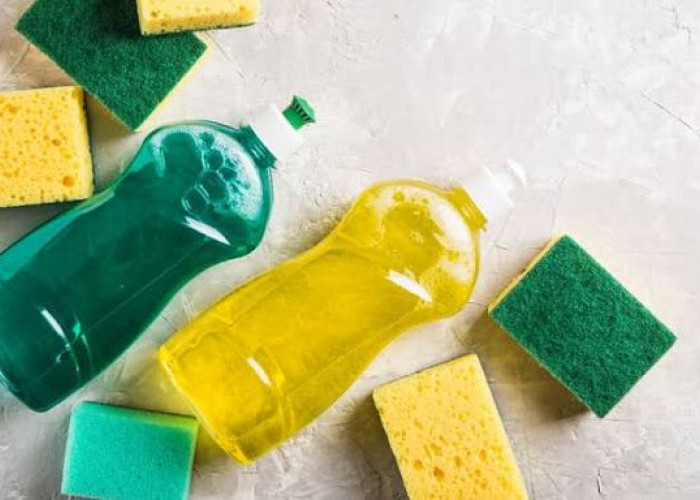 Jangan Sekadar Diberi Air, Ini Trik Hemat Perbanyak Sabun Cuci Piring biar Perabot Tetap Bersih Mengkilat