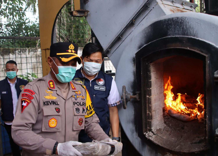 Polres OKUT  Bakar  35,7 Kg Ganja